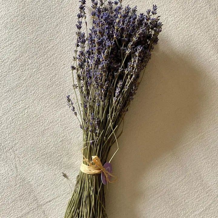 Blauer Lavendelstrauss, Château de la Gabelle, 80 g