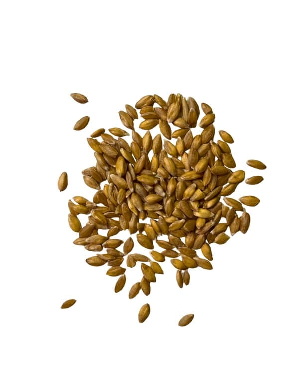 Einkorn im Sack, Château de la Gabelle, 25 kg