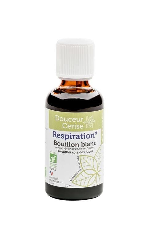 Königskerze, Douceur Cerise, 50 ml