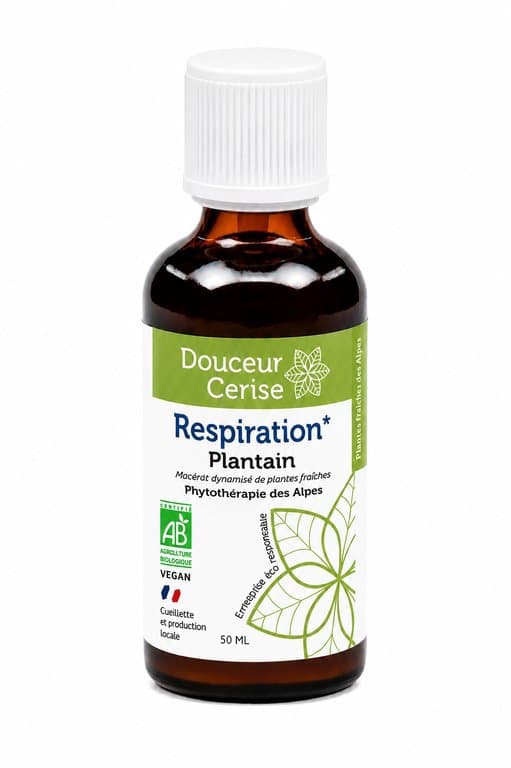Spitzwegerich, Douceur Cerise, 50 ml