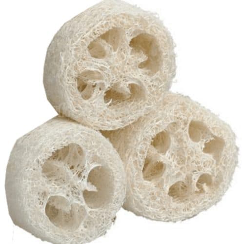 Loofah En Tranches, Compagnie Du Bicarbonate